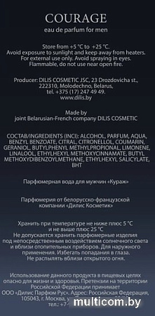Dilis Parfum Courage EdP (100 мл)