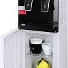 Кулер для воды Ecotronic J1-LC XS