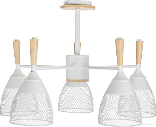 Подвесная люстра Sundays Home R-25 6211 (с лампами Е27 12W 4100K 5шт)