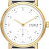 Наручные часы Skagen SKW3101