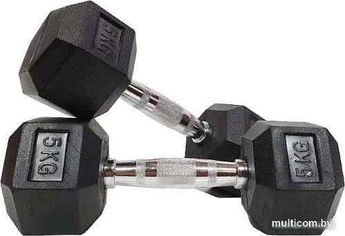Набор гантелей VictoryFit VF-H050 2x5 кг