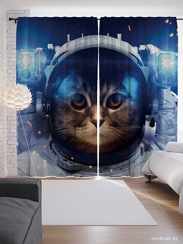 JoyArty Котик в космосе p_6851