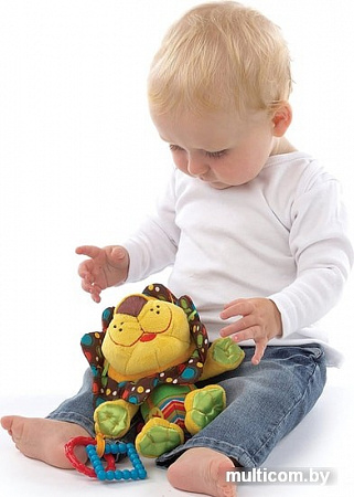 Сортер Playgro Roary Lion 0181513