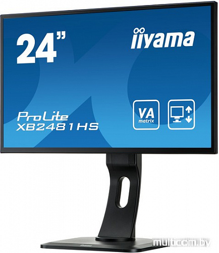 Монитор Iiyama ProLite XB2481HS-B1