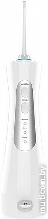 Ирригатор Revyline RL 210