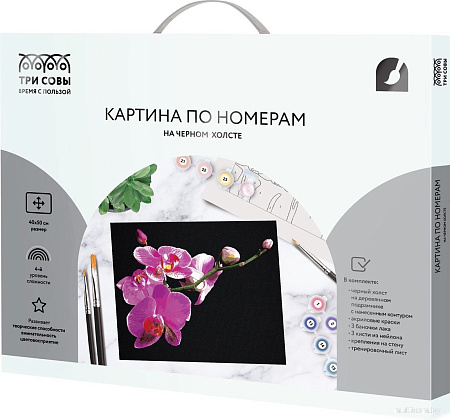 Три совы Цветы орхидеи КХп_48159