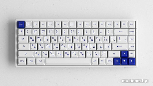 Клавиатура Akko 3084B Plus White & Blue (Akko CS Jelly Purple)