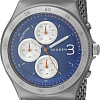 Наручные часы Skagen SKW6154