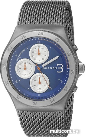 Наручные часы Skagen SKW6154