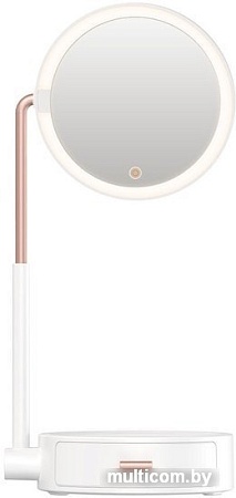 Baseus Smart Beauty Series Lighted with Storage Box DGZM-02