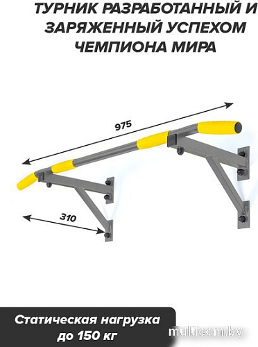 Турник Absolute Champion Aktiv (серый/желтый)