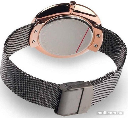 Наручные часы Skagen SKW2584