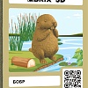 Конструктор QBRIX Бобр 3D 20076