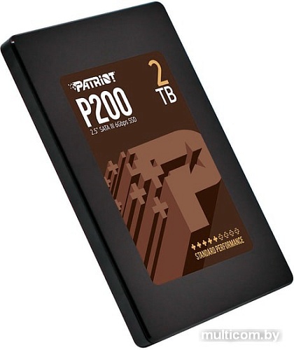 SSD Patriot P200 2TB P200S2TB25