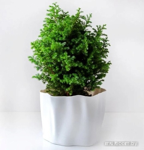 Ящик для хранения Qualy Flow QL10142-WH