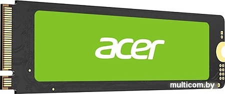 SSD Acer FA100 256GB BL.9BWWA.118