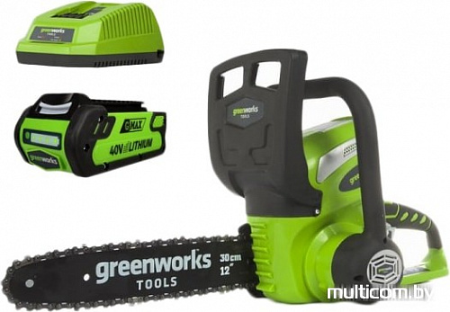 Аккумуляторная Greenworks G40CS30K2