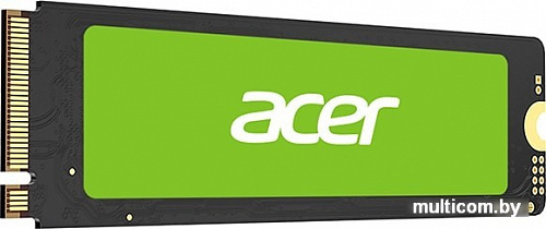 SSD Acer FA100 256GB BL.9BWWA.118