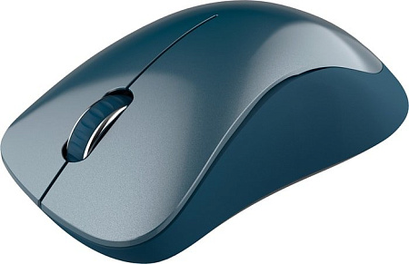 Мышь Canyon CNE-CMSW11BL