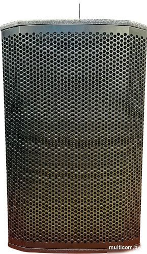 Активная акустика Acury DS15W