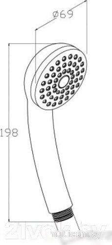 Душевая лейка Aquanet AF000-01C 246905