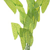 Искусственное растение Barbus Нимфея пятнистая Plant 054 10 см