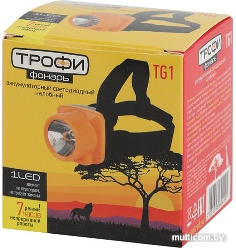 Фонарь Трофи TG1