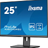 Монитор Iiyama ProLite XUB2595WSU-B5