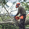 Бензопила Husqvarna 135 Mark II 967861836