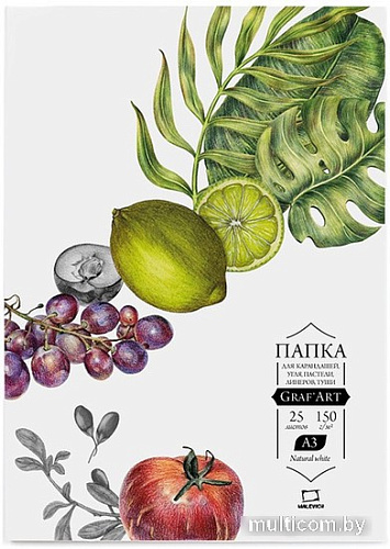 Набор бумаги для рисования Малевичъ GrafArt 402303 (25 л)