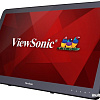 Монитор ViewSonic TD2430