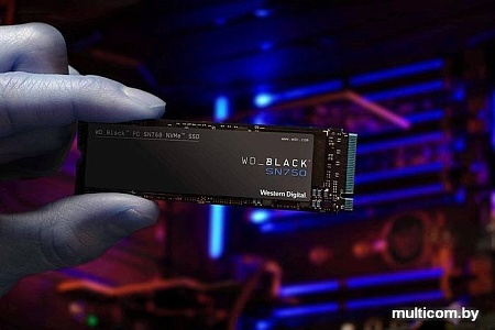SSD WD Black SN750 1TB WDS100T3X0C