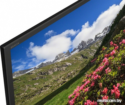 Телевизор Sony KDL-43RF453