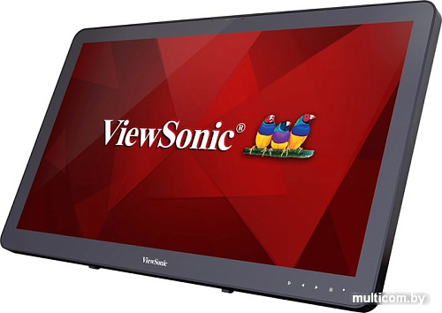 Монитор ViewSonic TD2430