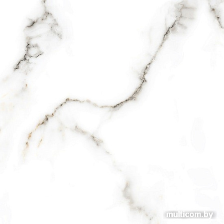 Керамогранит (плитка грес) Netto Carrara Polished 800x800