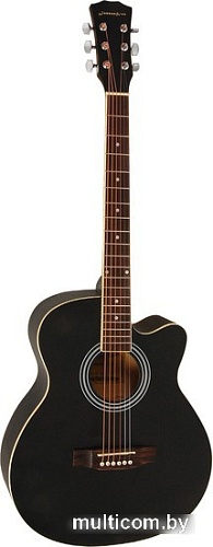 Акустическая гитара Elitaro E4020 BK