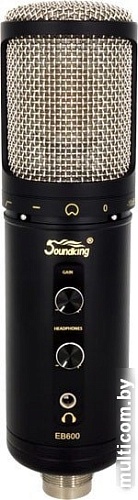 Микрофон Soundking EB600