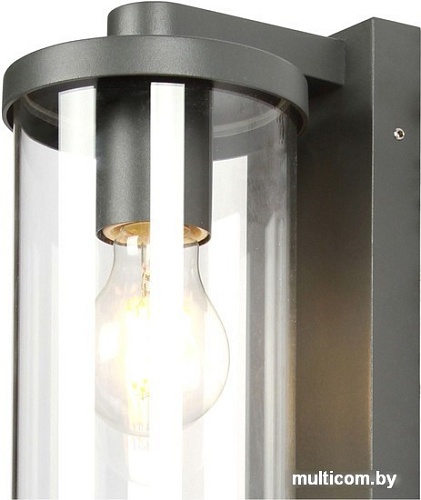 Уличный настенный светильник Favourite Lukturis 3038-1W