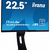 Монитор Iiyama ProLite XUB2395WSU-1