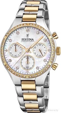 Наручные часы Festina F20402-1