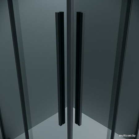 Душевой уголок Grossman Galaxy 120x80x195 300.K33.01.1280.21.10 (черный матовый/тонированное стекло)
