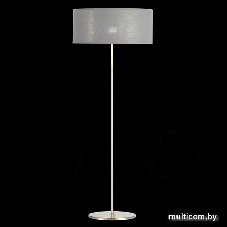 Торшер Evoluce SLE300515-01