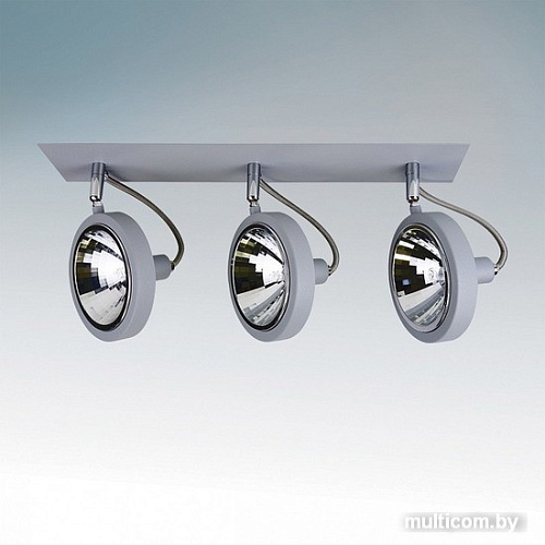 Точечный светильник Lightstar 210339