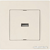 Розетка USB Mutlusan 2220 448 0102