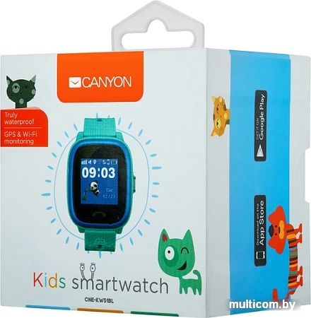 Умные часы Canyon CNE-KW51BL