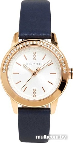 Наручные часы Esprit ES1L136L0055