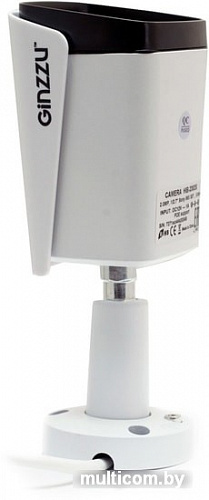 IP-камера Ginzzu HIB-2301A