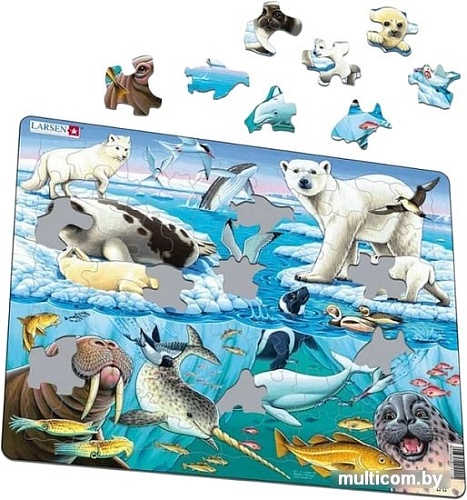 Мозаика/пазл Larsen Арктика FH11