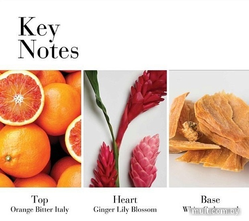 Парфюмерия Elizabeth Arden White Tea Ginger Lily EdT (30 мл)