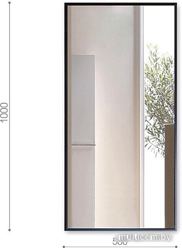 Интерьерные зеркала Алмаз-Люкс М-420 100х50